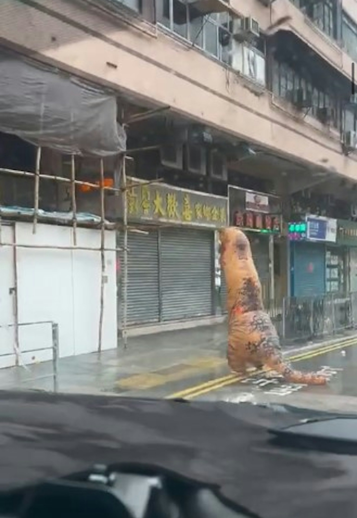 颱風韋帕｜十號波來襲　市民搞笑穿「吹氣恐龍」服穿梭街頭惹網民熱議