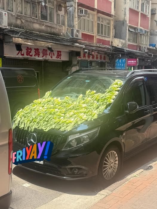 土瓜灣七人車玩泊車「曬菜乾」惹熱議　網民笑稱：趕住今晚煲湯用