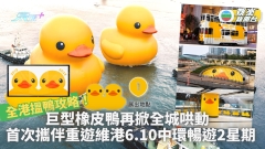 全港搵鴨攻略！巨型橡皮鴨再掀全城哄動  首次攜伴重遊維港6月10日中環暢遊2星期