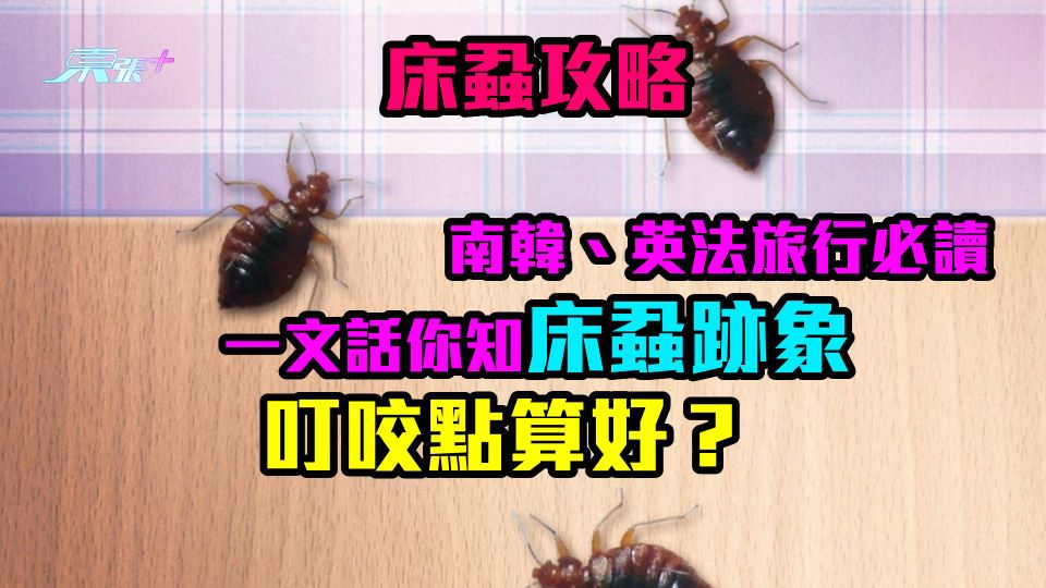 床蝨攻略|南韓、英法旅行必讀! 一文話你知床蝨跡象、叮咬點算好?