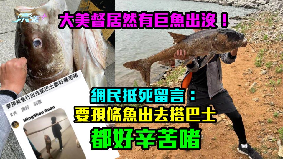 大美督居然有巨魚出沒！網民抵死留言：要孭條魚出去搭巴士都好辛苦啫