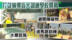 首間導盲犬訓練學校開幕 冀未來3年培育50隻導盲犬