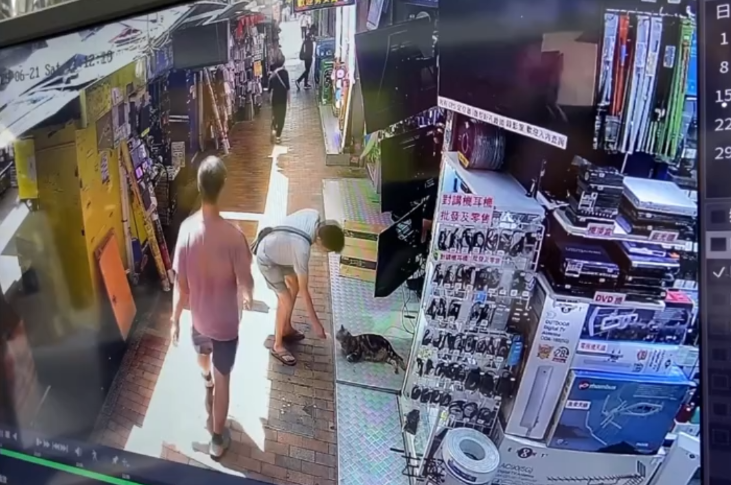 有片｜大叔鴨寮街入店齋唱散$500被拒　其後竟折返原店只為送貓店長兩條「紅衫魚」