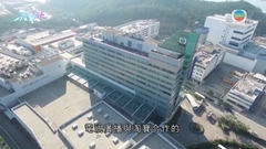 港股半日急升逾600點 藍籌股全線造好
