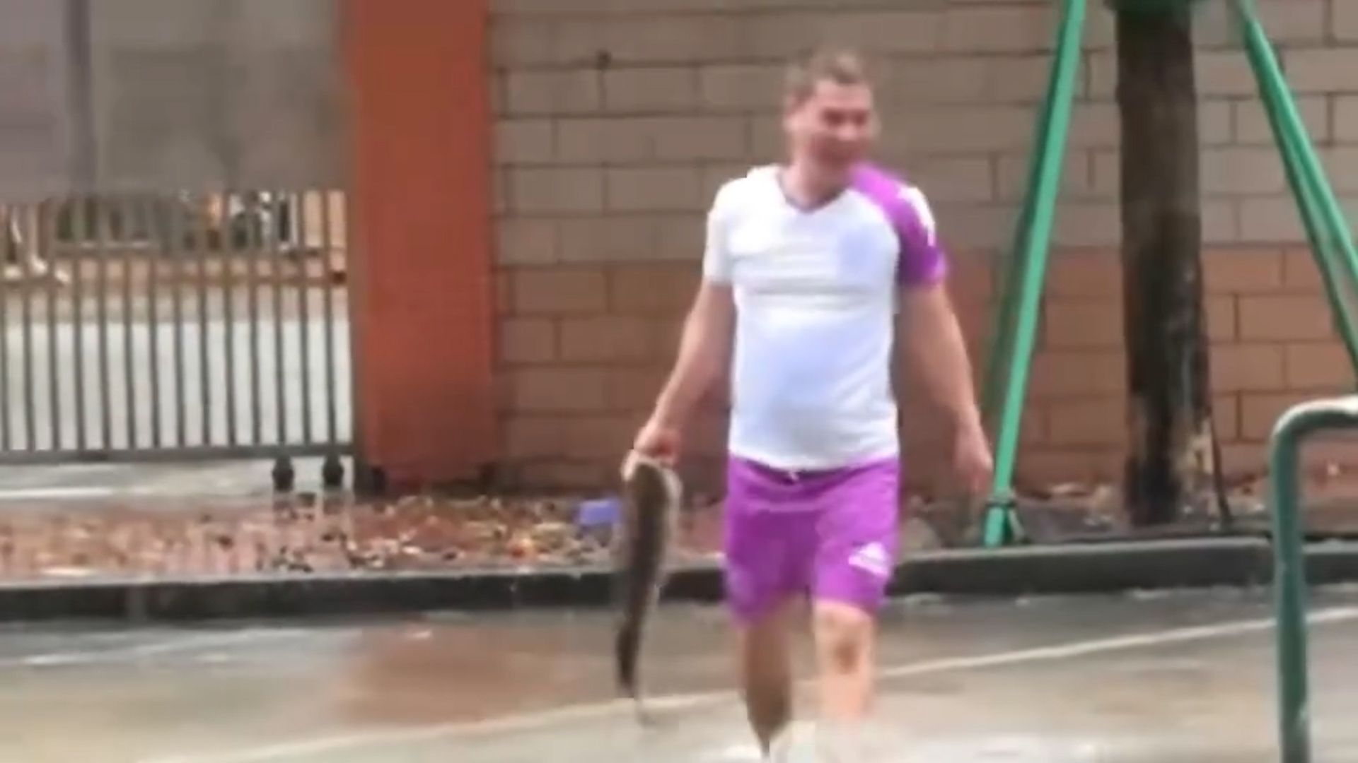 在澳門水浸的街道上，有民眾在嘗試捉魚，以及成功將新鮮魚撿走。（Threads影片截圖／babiwii）