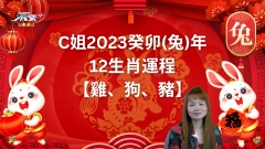 C姐2023癸卯(兔)年12生肖運程【雞、狗、豬】