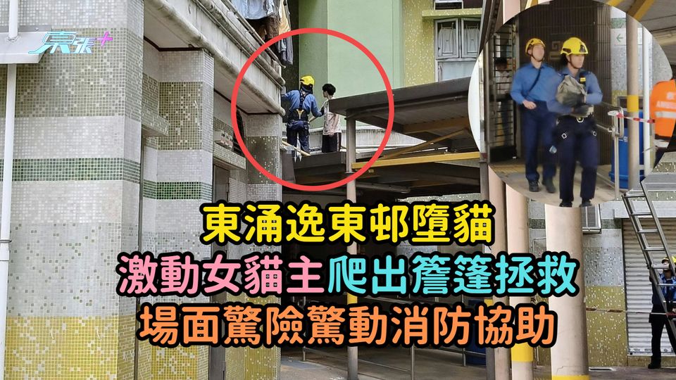 東涌逸東邨墮貓  激動女貓主爬出簷篷拯救場面驚險驚動消防協助