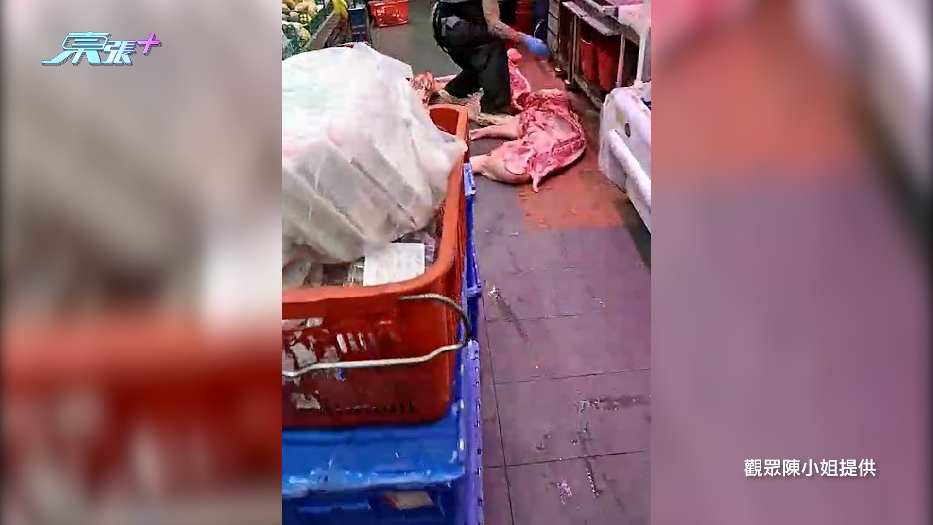 東張西望報料｜元朗肉食店疑地上劏豬　生肉直接放地處理　街坊震驚報東張揭發 （觀眾陳小姐報料）