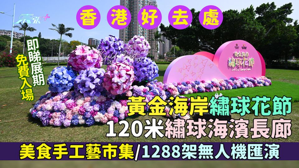 香港好去處｜免費!黃金海岸繡球花節 120米繡球海濱長廊/美食手工藝市集/1288架無人機匯演