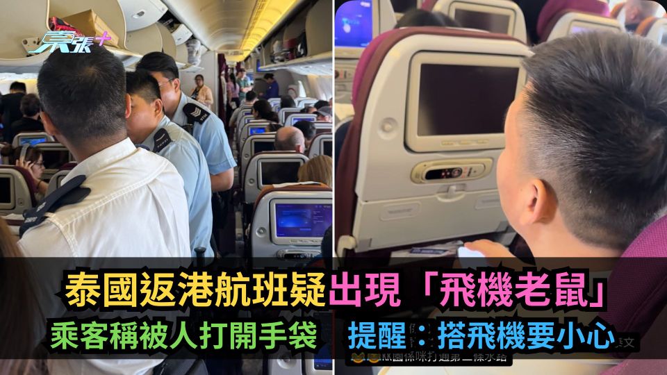 泰國返港航班疑出現「飛機老鼠」　乘客稱被人打開手袋　提醒：搭飛機要小心