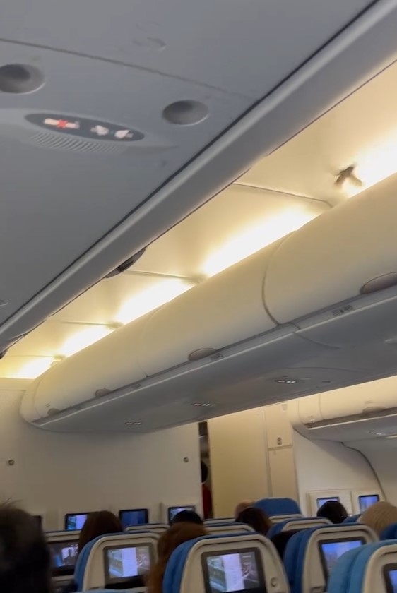 東張西望報料｜國泰飛台灣航班　雀仔飛客艙玩謝員工　乘客：延誤35分鐘