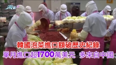 韓國泡菜進口額破歷史紀錄 單月進口超1,700萬美元 多來自中國