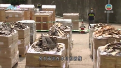 海關破獲三宗海路走私案 共拘三男三女