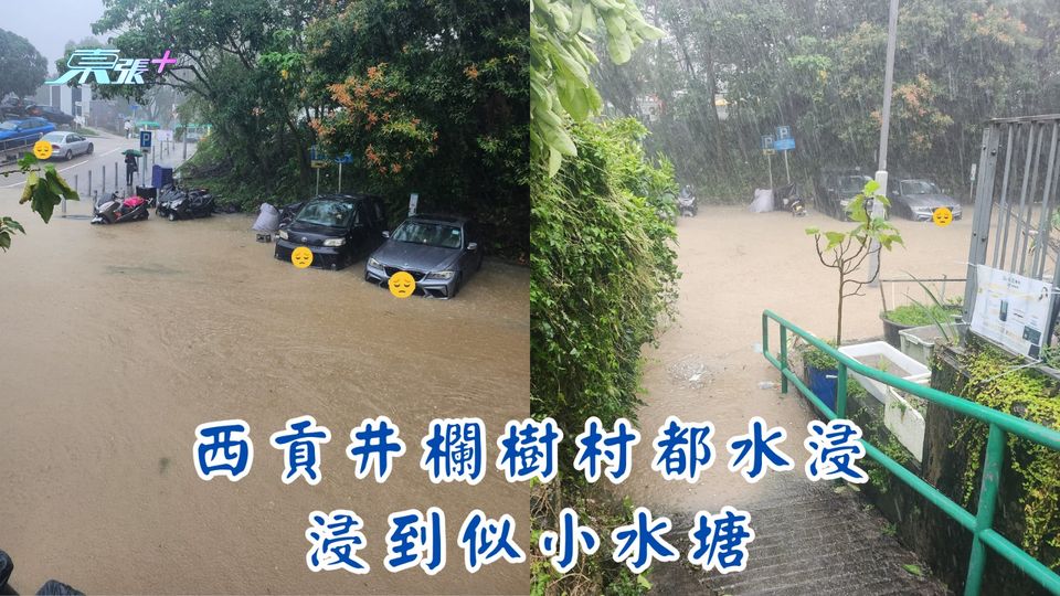 浸到似水塘｜西貢井欄樹村水浸　村民守望相助交代出村情況