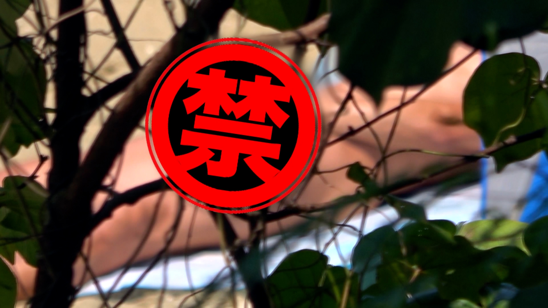 一名男子全身赤裸曬太陽，初時該名男子用泳褲遮著重要部位，但其後他竟在光天化日下做出猥褻行為，不斷摸自己的下體。