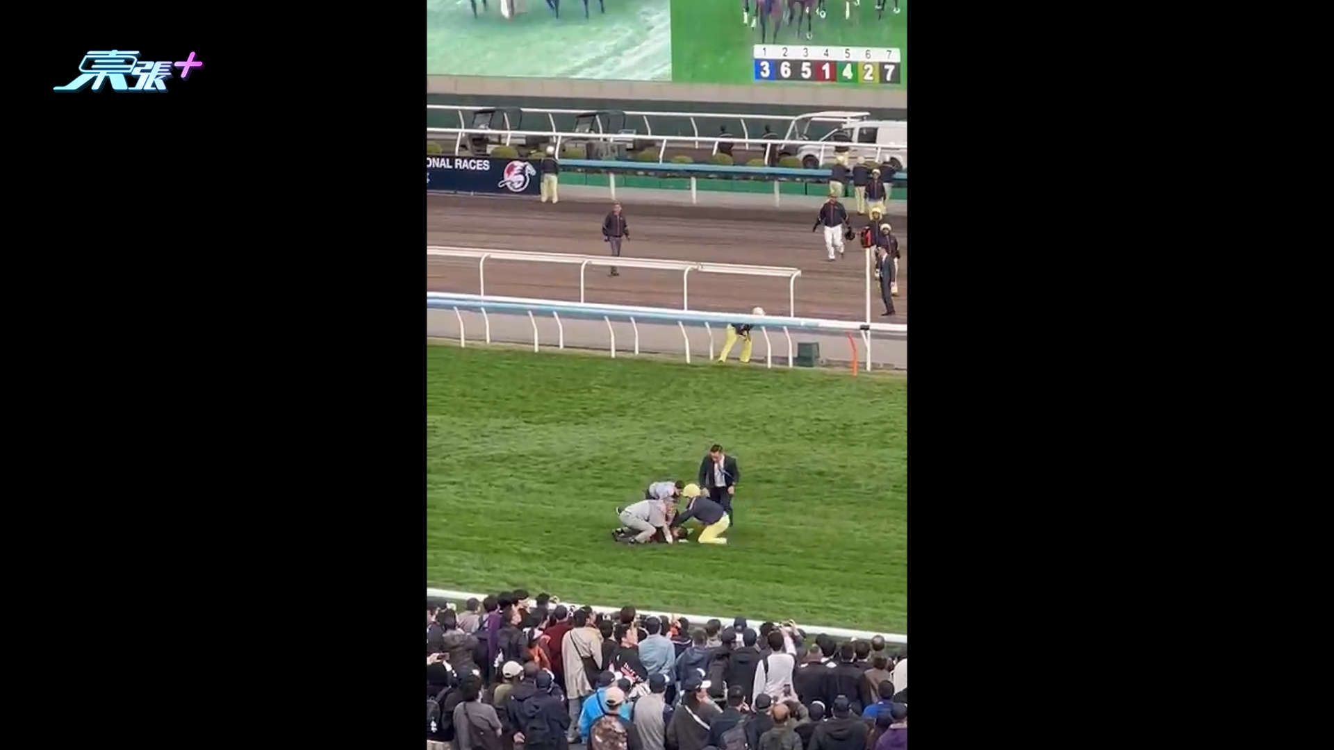 沙田馬場有人衝入跑道，保安及時制止無人受傷。