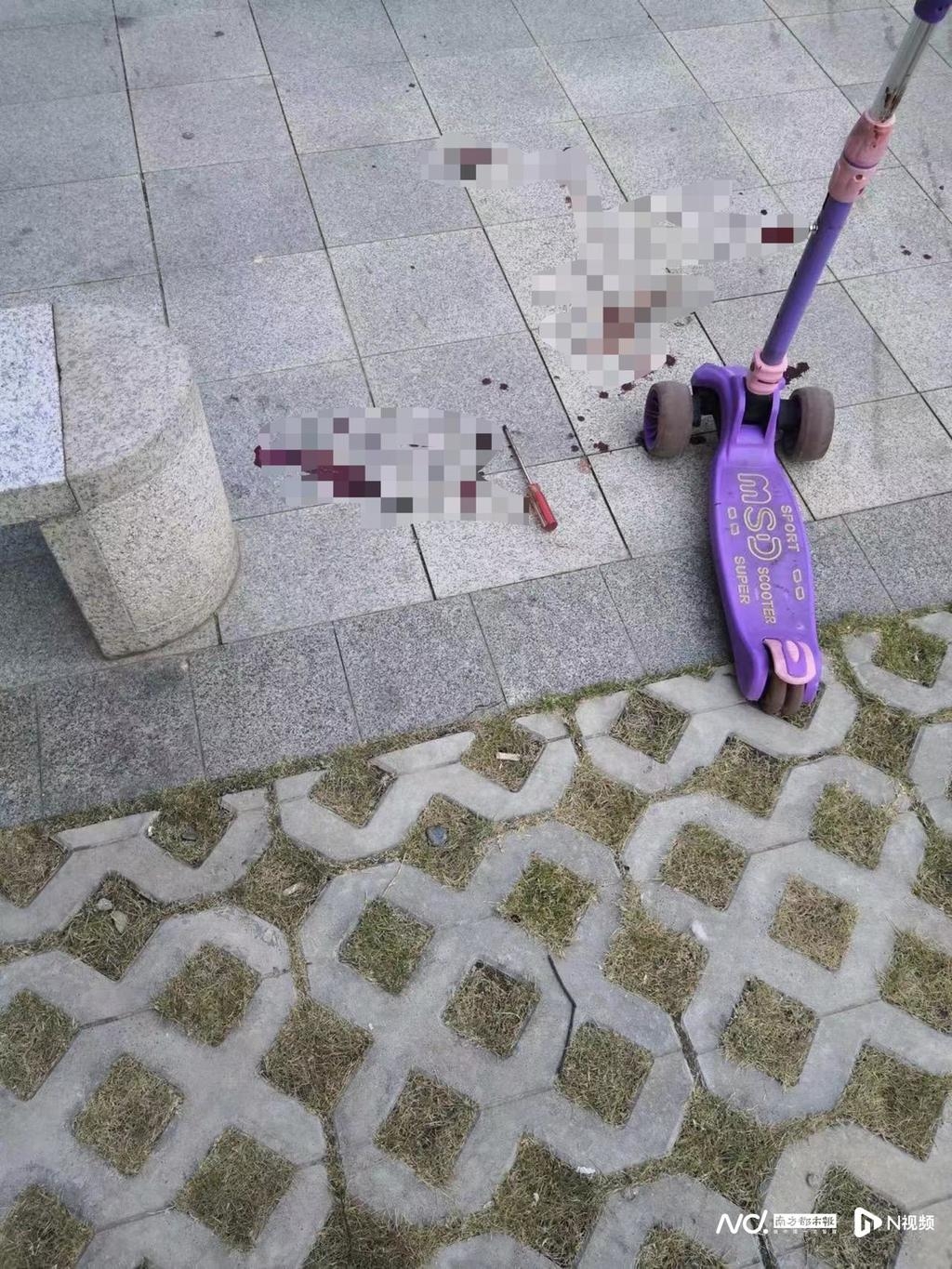 地上有血