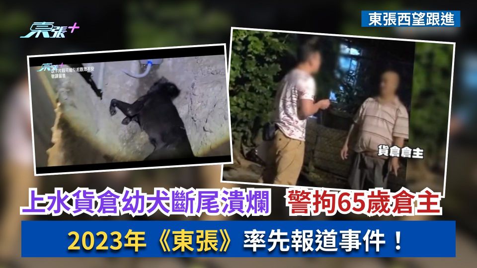 東張西望跟進｜上水貨倉幼犬斷尾潰爛　3狗疑受虐警拘65歲倉主　《東張》做到嘢！