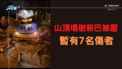山頂塌樹新巴被壓 暫有7名傷者