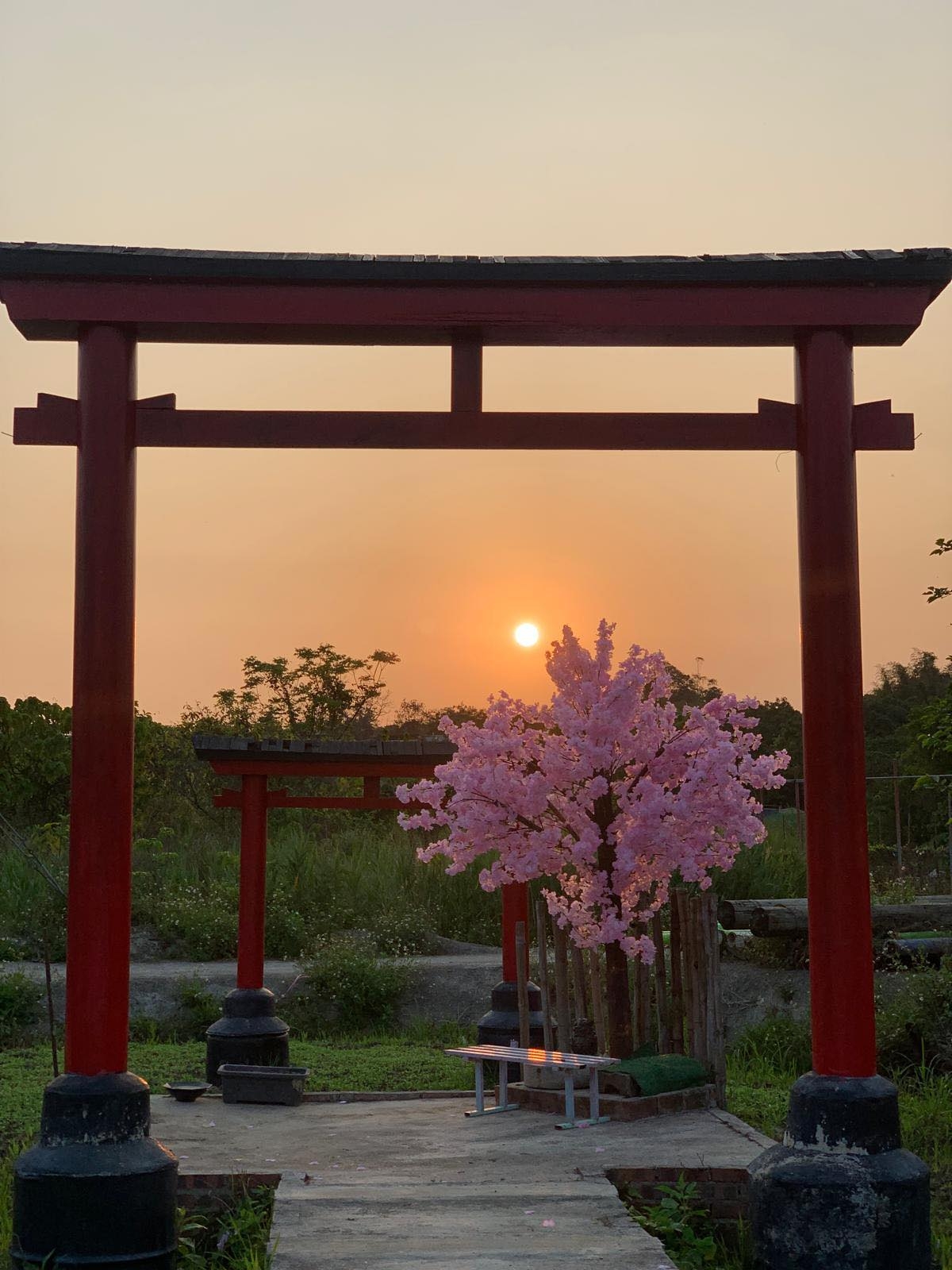 May be an image of twilight and Fushimi Inari Taisha
