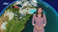 11月14日 天氣報告