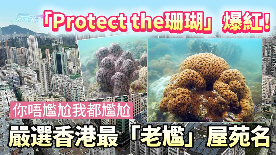 「Protect the珊瑚」爆紅！你唔尷尬我都尷尬 嚴選香港最「老尷」屋苑名