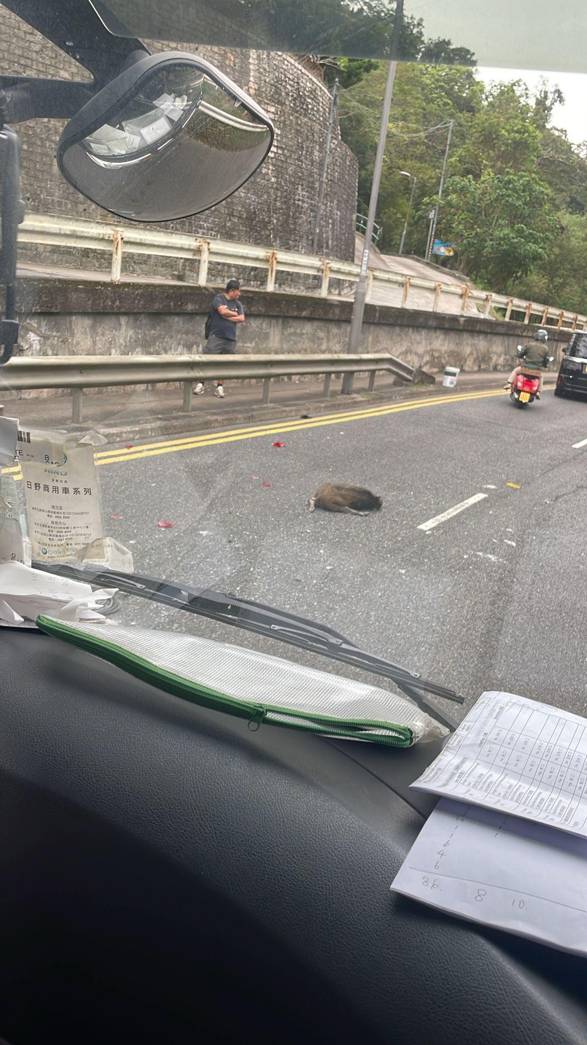 清水灣道路中心驚現野豬屍體　貨Van急煞釀尾隨貨車追撞兩人傷