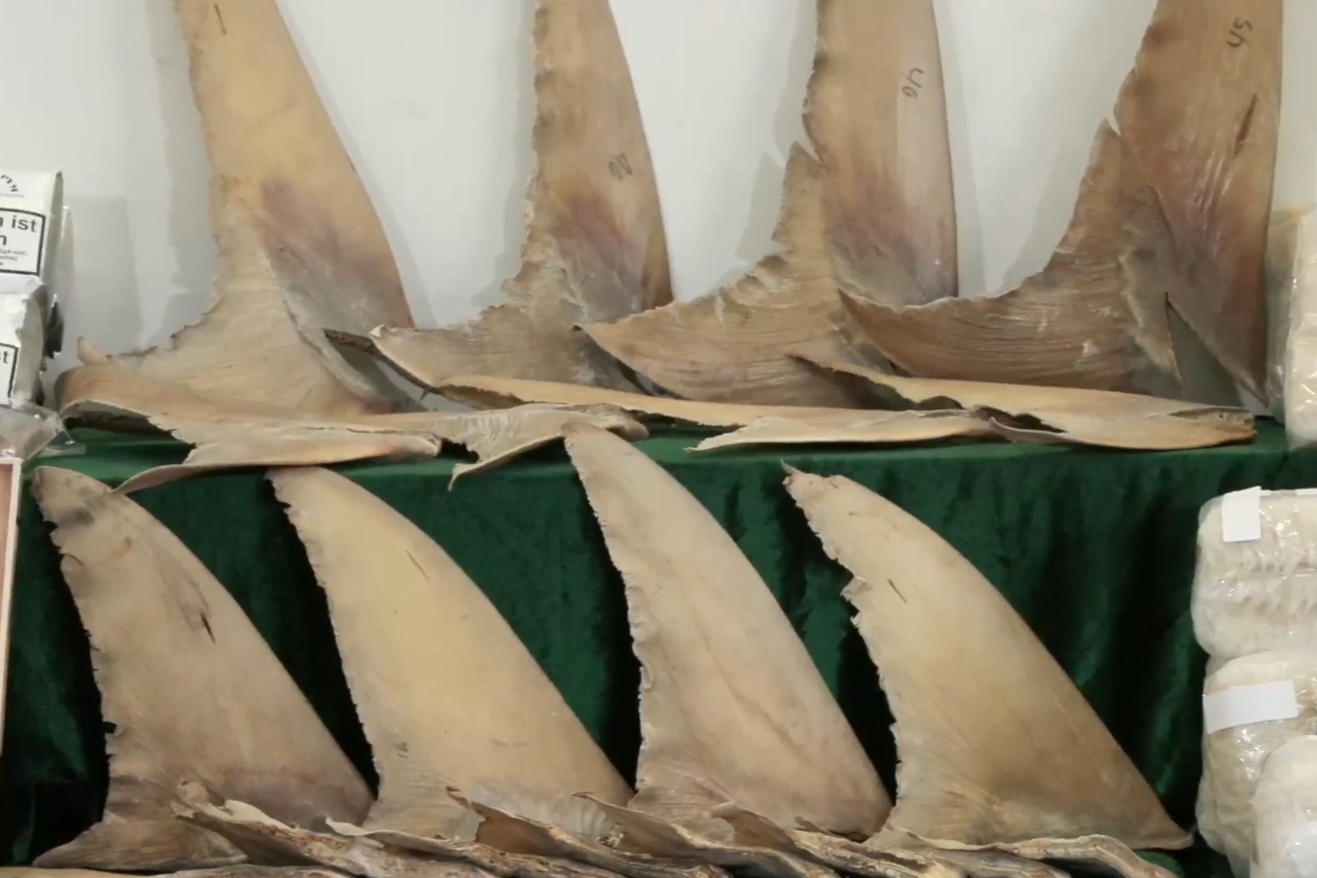 海關檢獲大批走私貨物，包括藥劑產品、煙草產品、煙彈、燕窩、受管制的魚翅、沉香木等，總值約2900萬元。（海關Facebook直播截圖）