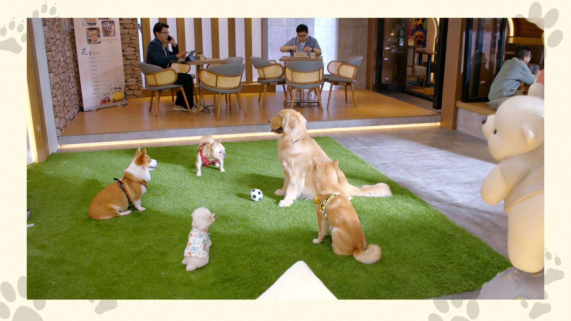 呢一幕狗狗圍爐夠晒搞笑。