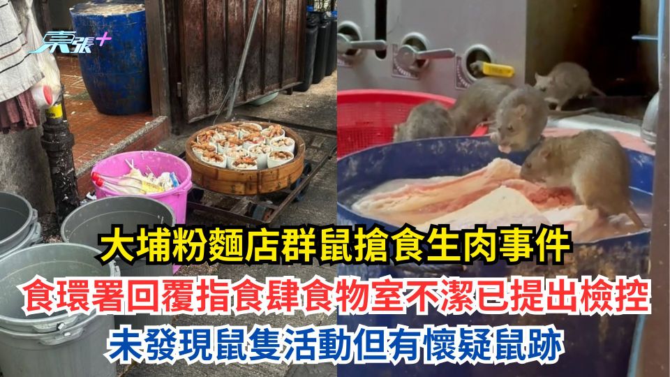 大埔粉麵店群鼠搶食生肉事件 食環署回覆指食肆食物室不潔已提出檢控 未發現鼠隻活動但有懷疑鼠跡