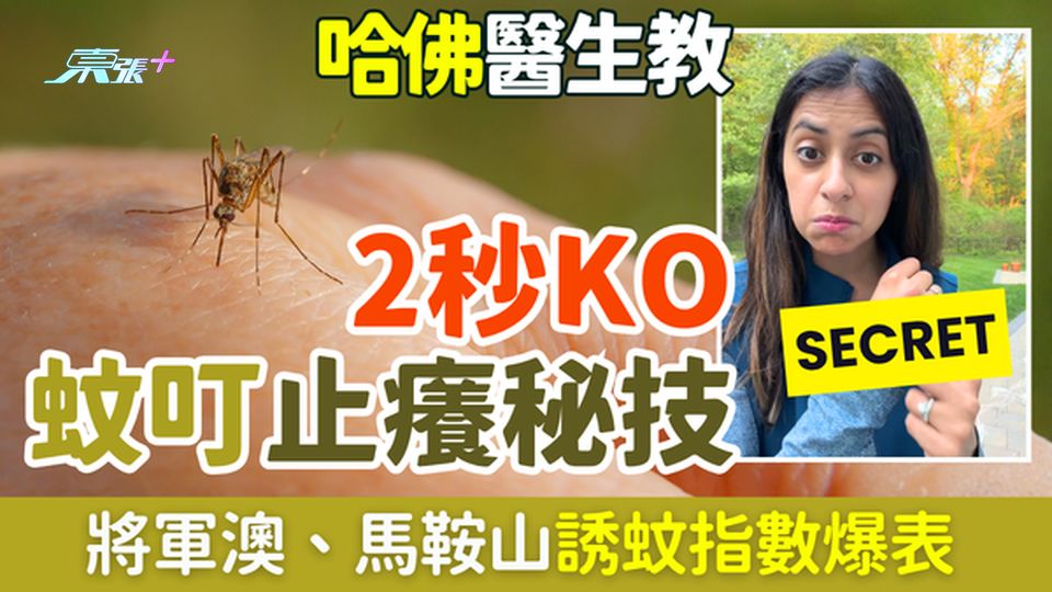 家事常識｜香港多區誘蚊指數爆表 哈佛醫生教2秒KO蚊叮止癢秘技