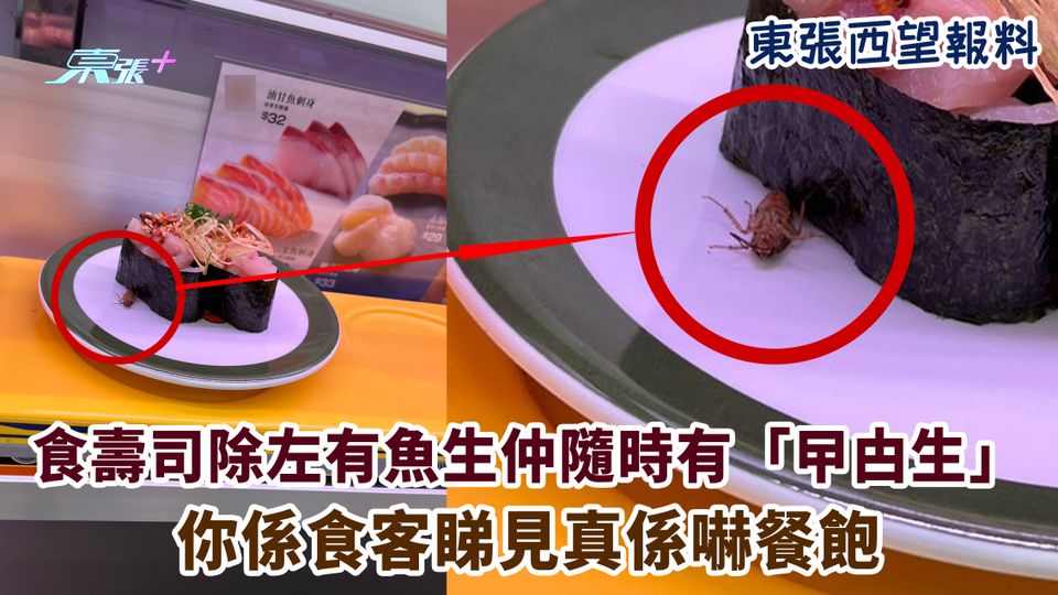東張西望報料｜食壽司除左有魚生仲隨時有「曱甴生」 你係食客睇見真係嚇餐飽