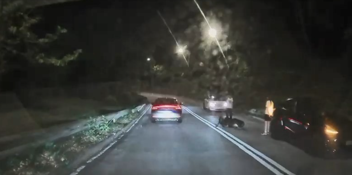 荃錦公路再有懷疑車輛撞牛事件　牛牛腳傷坐路上