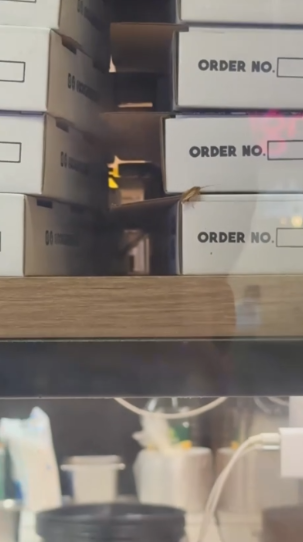 紅磡Pizza店曱甴周圍走