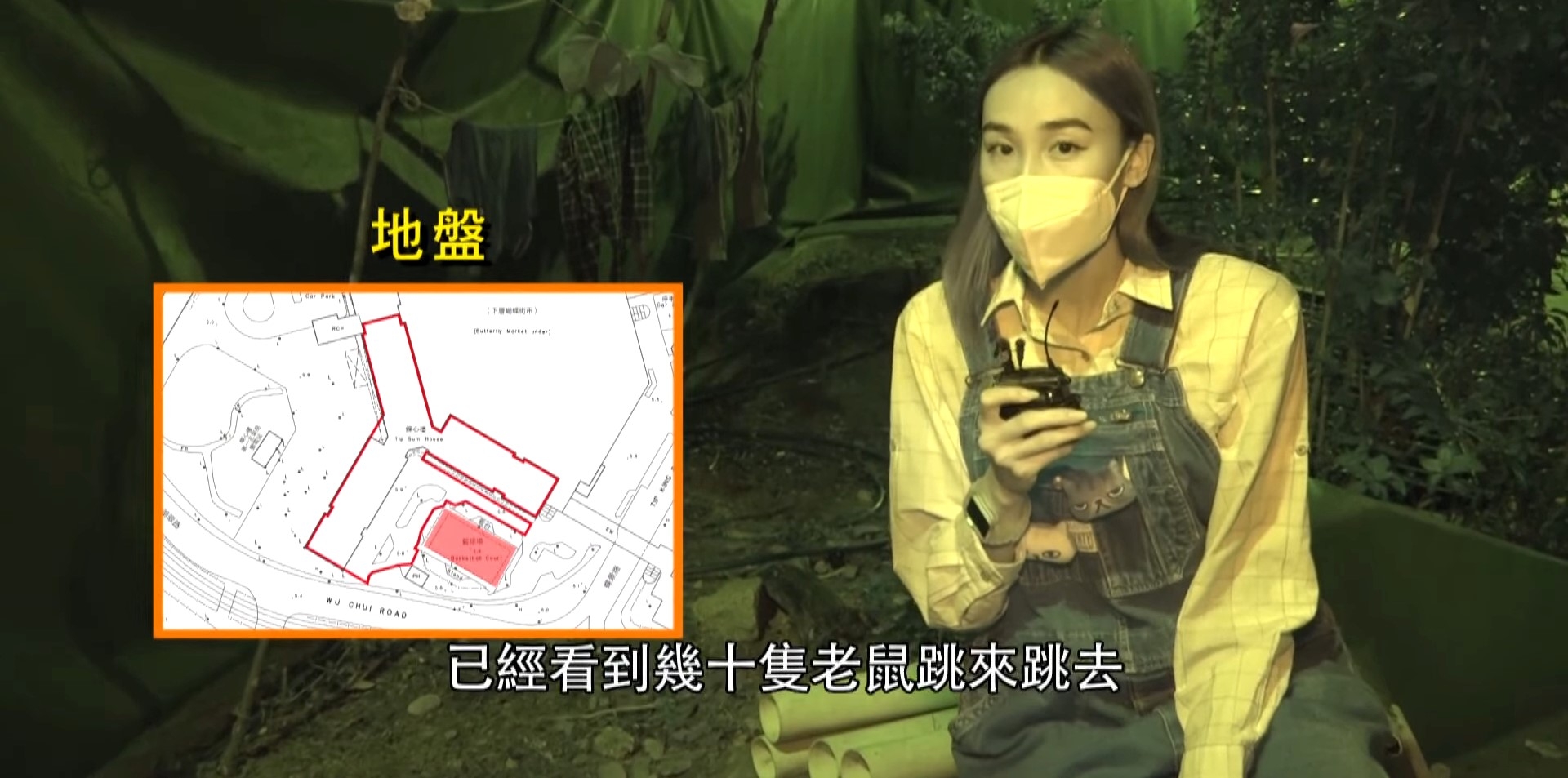 蝴蝶邨「鼠」輩橫行，拿着外賣時被仲老鼠撲上身。