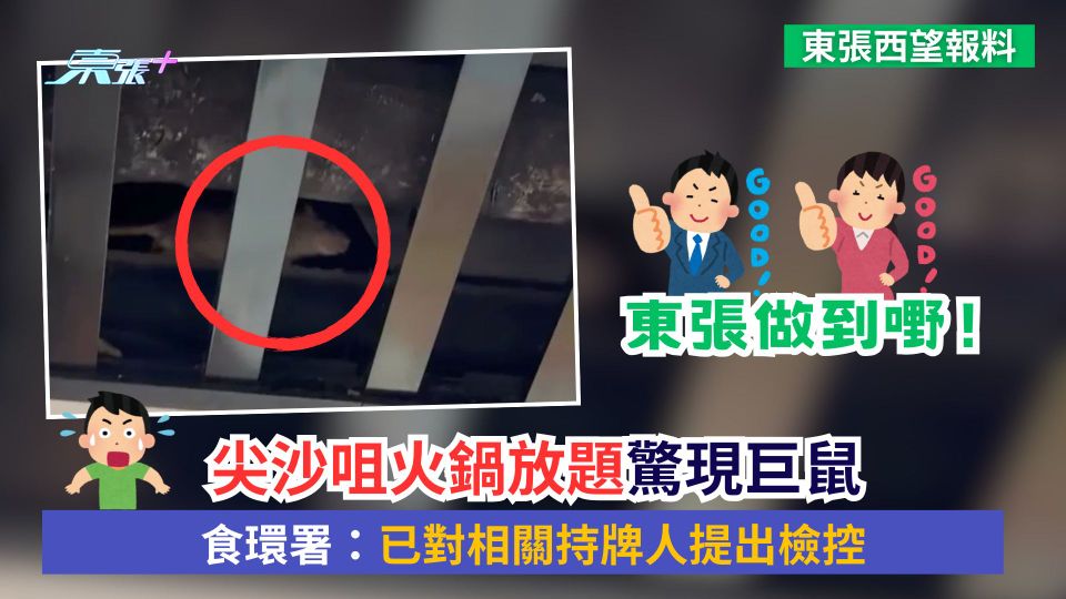 東張西望跟進｜尖沙咀火鍋放題驚現巨鼠　食環署：已對相關持牌人提出檢控