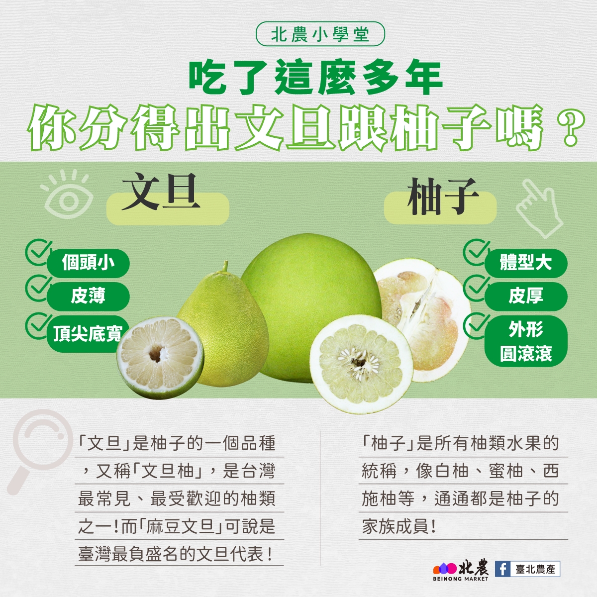 May be an image of text that says '北農小學堂 吃了這麽多年 你分得出文且跟袖子嗎？ 文旦 柚子 個頭小 皮薄 頂尖底寶 體型大 皮厚 外形 圓滾滾 「文旦」是柚子的一個品種 ，又稱「文旦柚」，是 是台灣 最常見 最受歡迎的柚類 之一！而「 之一！而麻豆文旦可說是 「柚子」是所有柚類水果的 統稱， 像白柚 蜜柚 統稱，像白柚、蜜柚、西 西 施柚等， 等，通通都是柚子的 家族成員！ 量灣最負盛名的文旦代表！ f臺北農產 f 臺北農産 BEINONGMARKET SEINGNG MARKET'