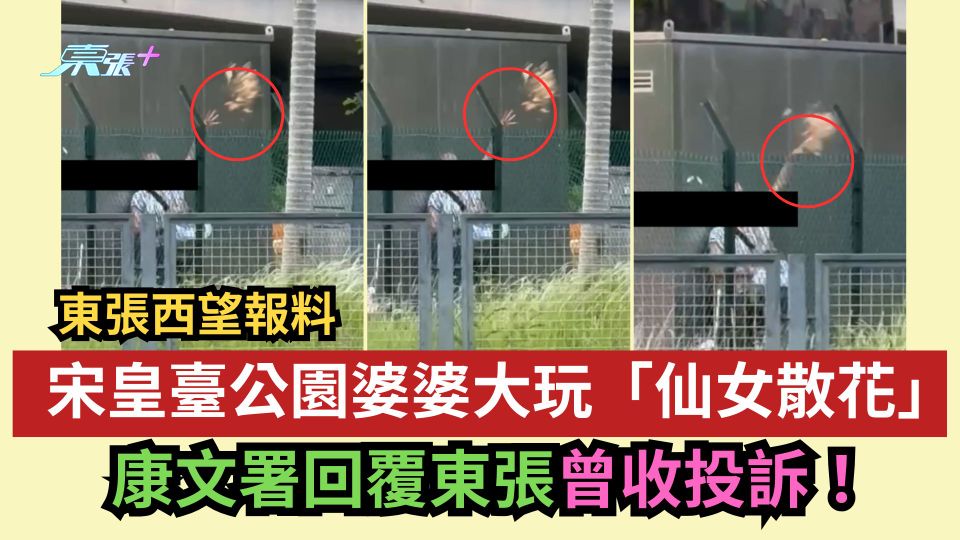 東張西望報料｜宋皇臺公園婆婆大玩「仙女散花」撒麵包碎　康文署覆東張收到投訴