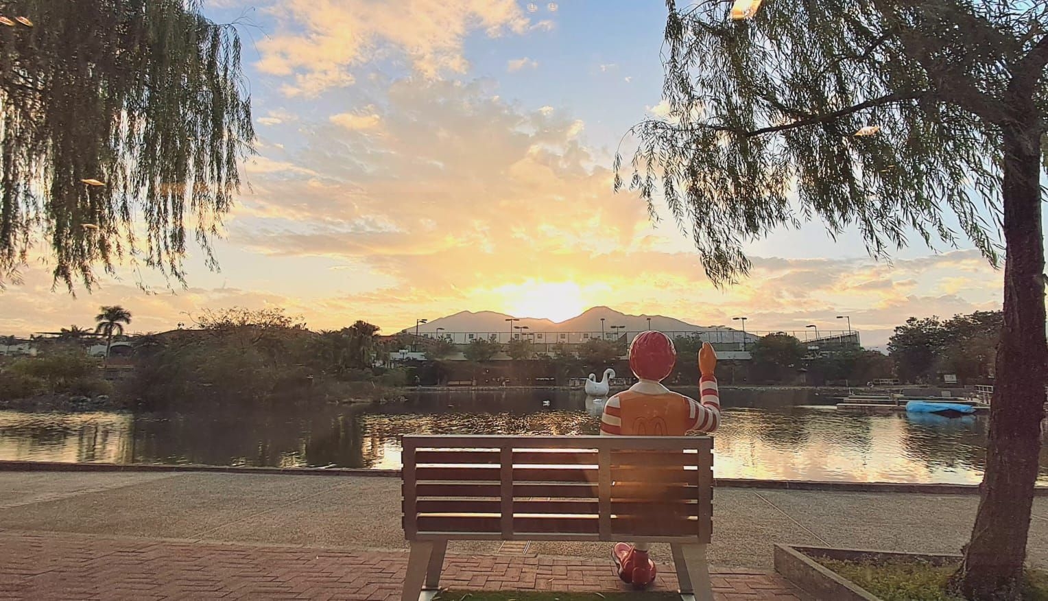 未提供相片說明。