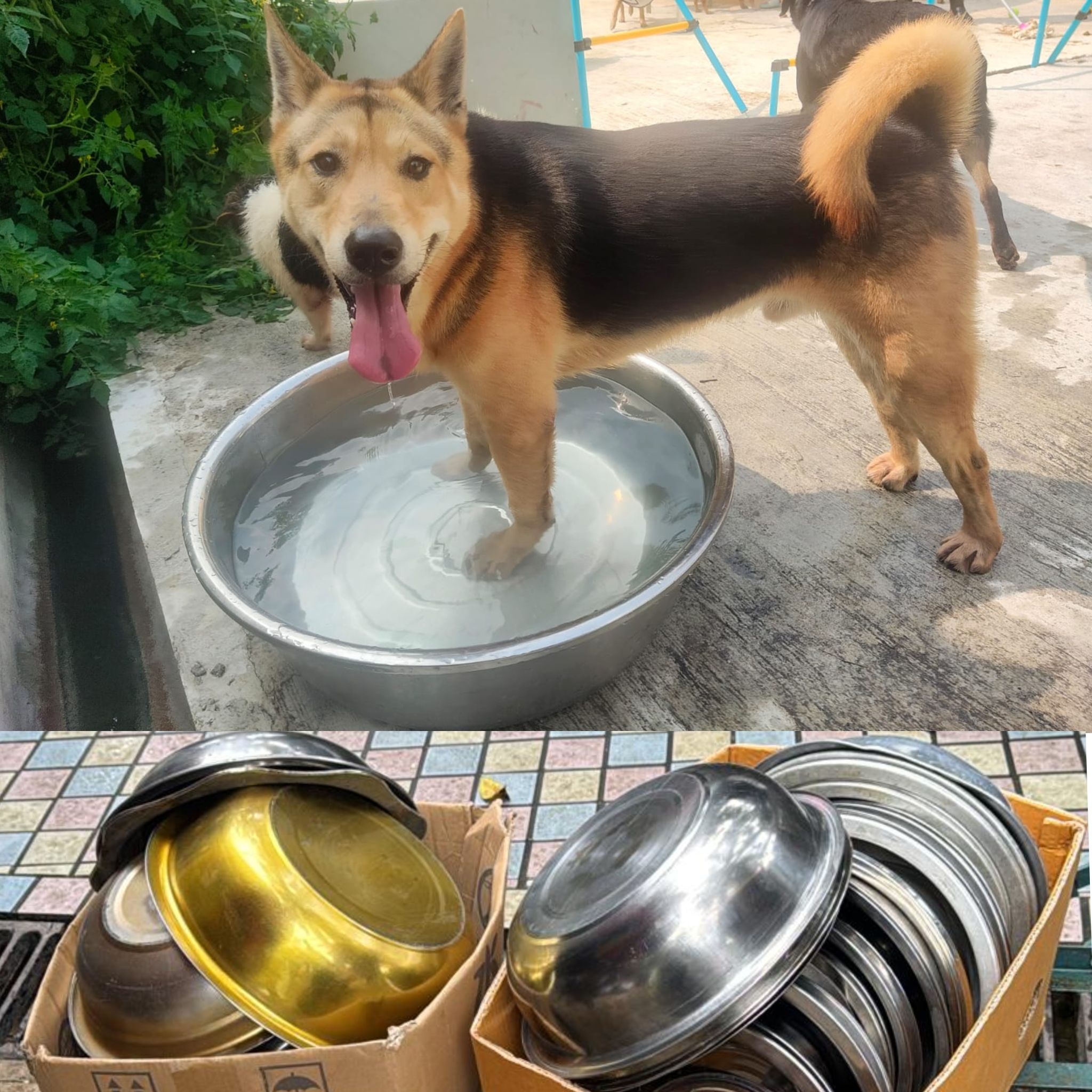 May be an image of text