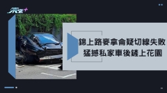 車CAM直擊｜錦上路麥拿侖疑切線失敗 猛撼私家車後鏟上花園 