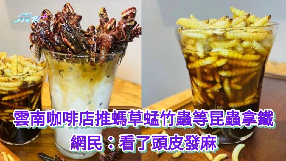 有片|雲南咖啡店推螞草蜢竹蟲等昆蟲拿鐵 網民：看了頭皮發麻