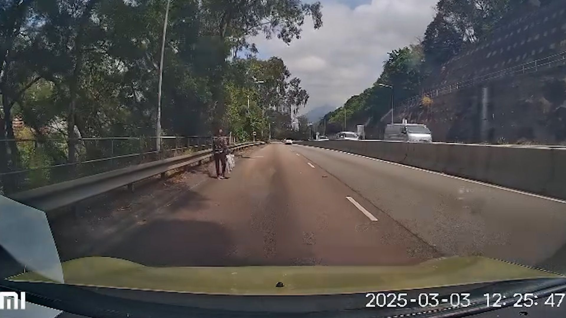 老婦獅子山隧道落錯巴士步行回家，熱心司機見狀開車送回家。(影片截圖)