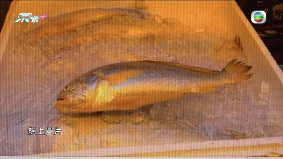街市驚現天價黃花魚一條盛惠6000蚊 檔主親解貴價之謎
