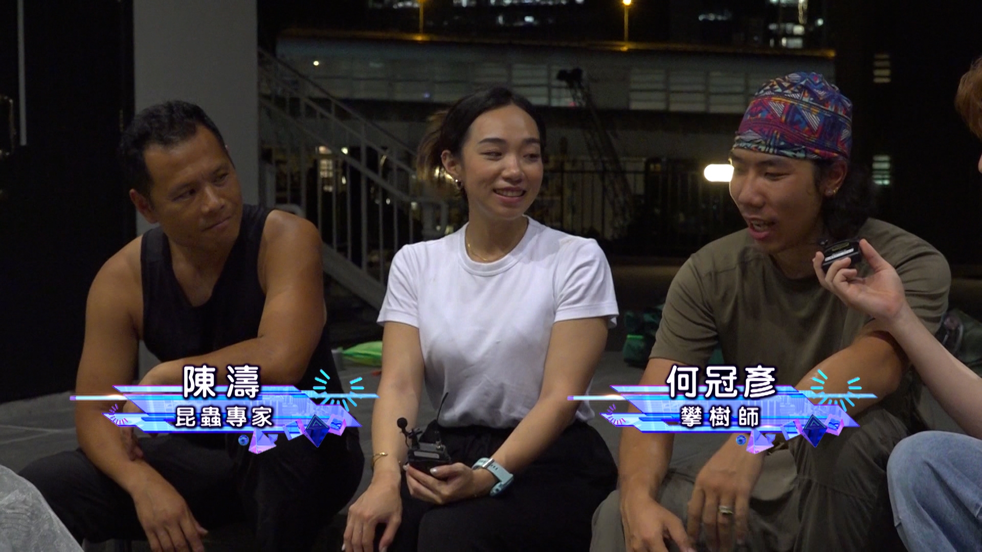 專家採用「共存式」拆除方法，先由專人安全攀上高樹，移除部分樹幹，再將整個蜂巢完整取下