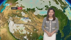 11月7日 天氣報告