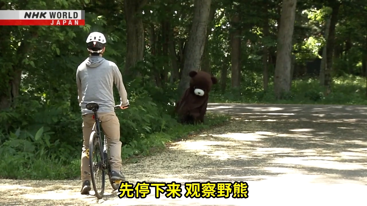 若在騎單車時遇上熊，應先停下來，觀察熊，不要匆忙逃離。（Facebook影片截圖／NHK WORLD-JAPAN Chinese - traditional）