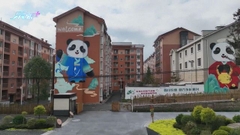 四川雅安以大熊貓為主題推動文旅融合發展 吸引大批旅客到訪