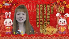 C姐2023癸卯(兔)年12生肖運程【豬】