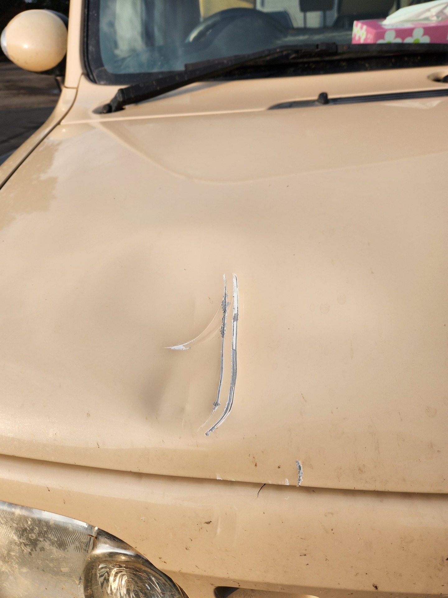 事發後涉事車輛的車頭凹陷，並有抓痕。（桑田牧場圖片）